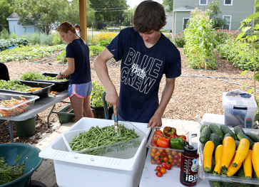 Photo of students working at UW Sprout garden