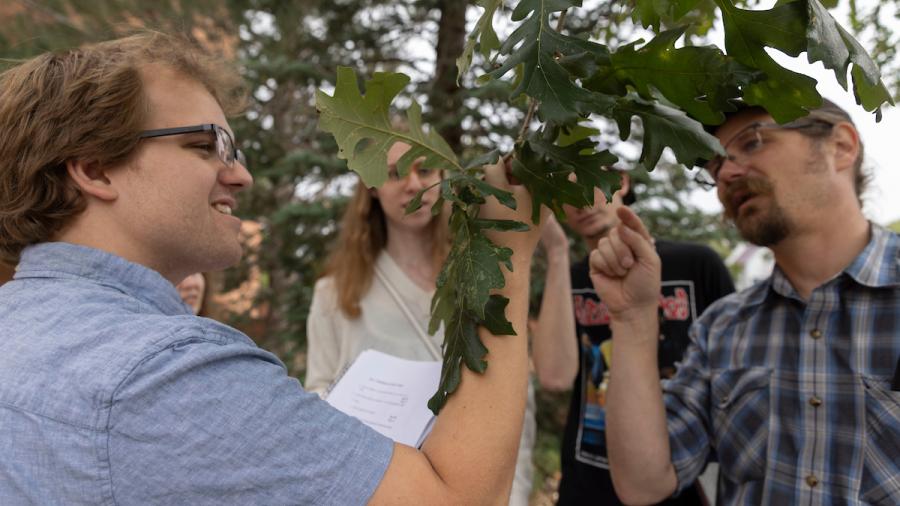 Students studying an oak leaf