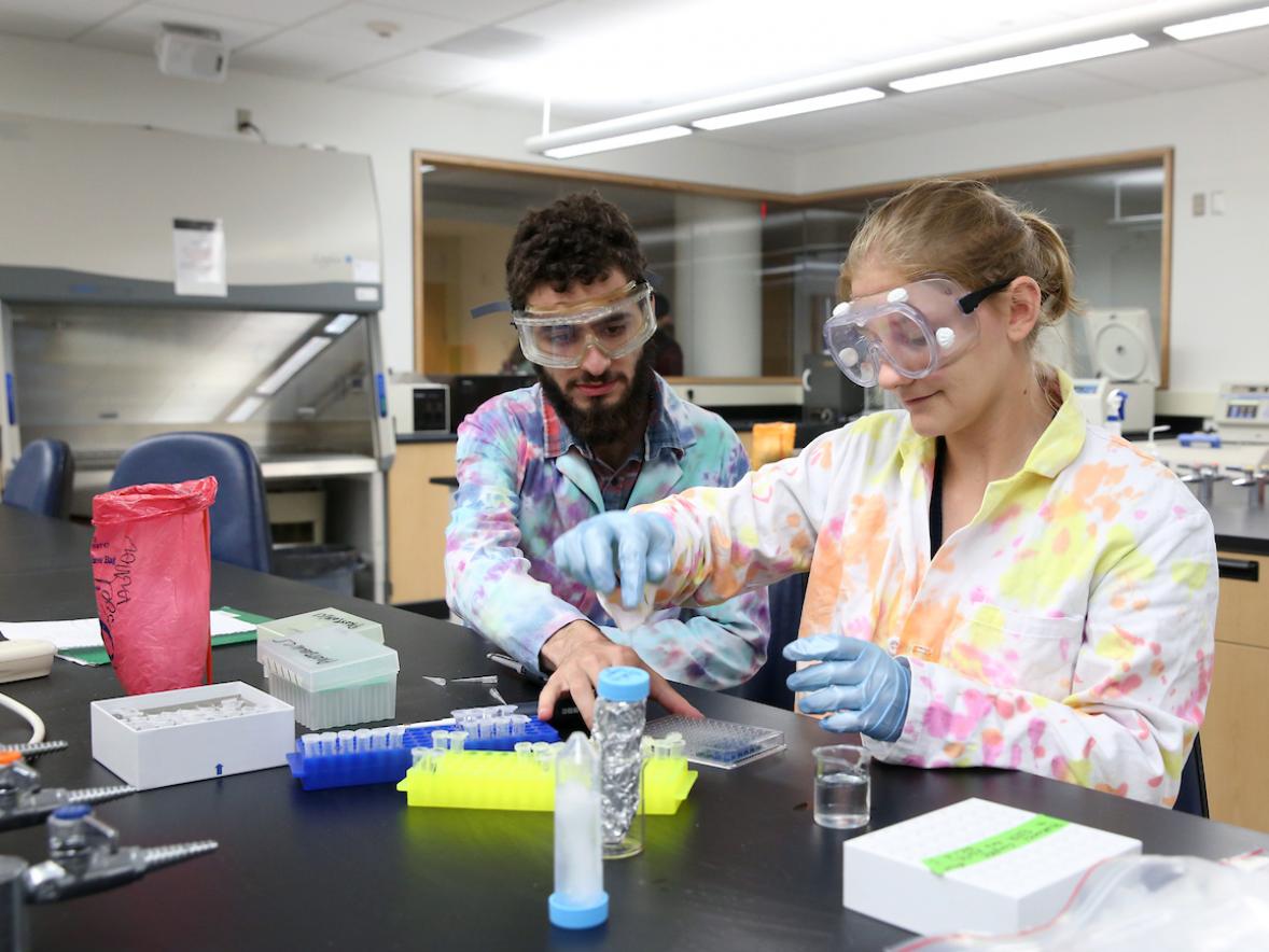 Students are photographed in a biology lab in Jarvis Hall Tuesday, September 25, 2018. Pictured is Kayla Boyd doing work on a research project with Nabil Junaidi.